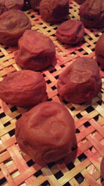 umebosi2013-2