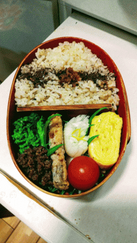 お弁当２０１９・２．８